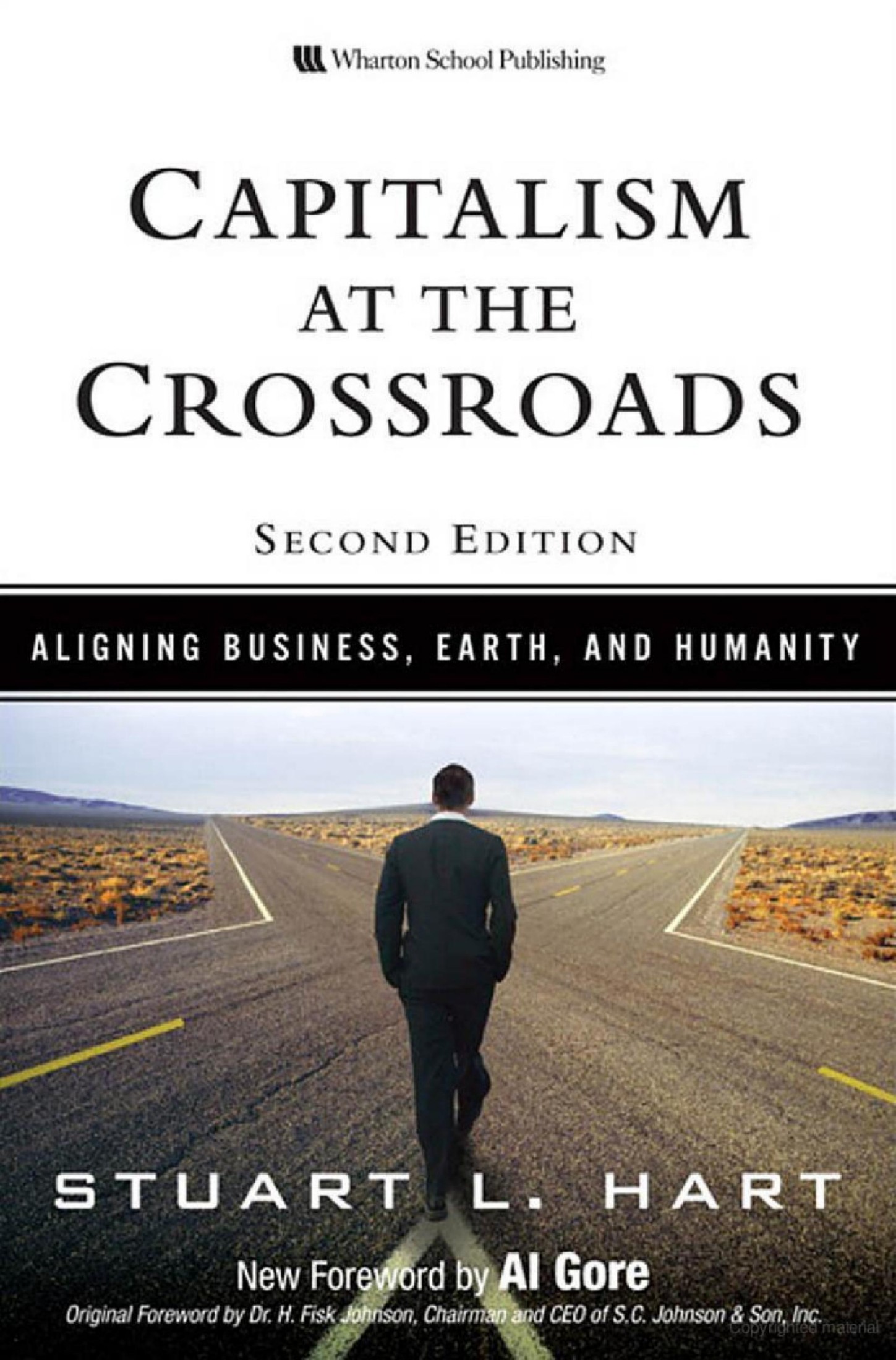 Stuart L. Hart, Al Gore Capitalism at the Crossroads Aligning Business, Earth, and Humanity 2007